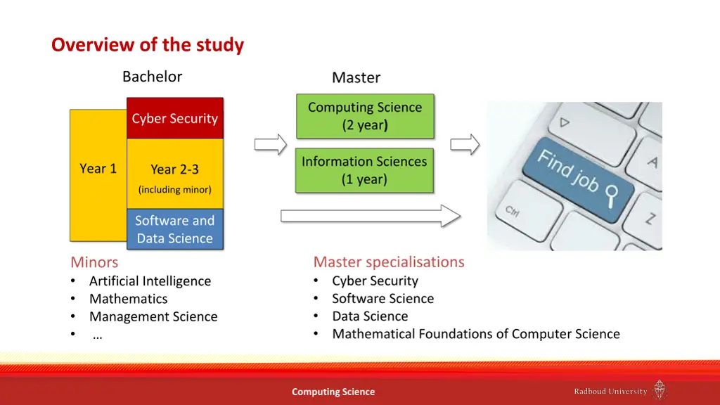 overview of the study