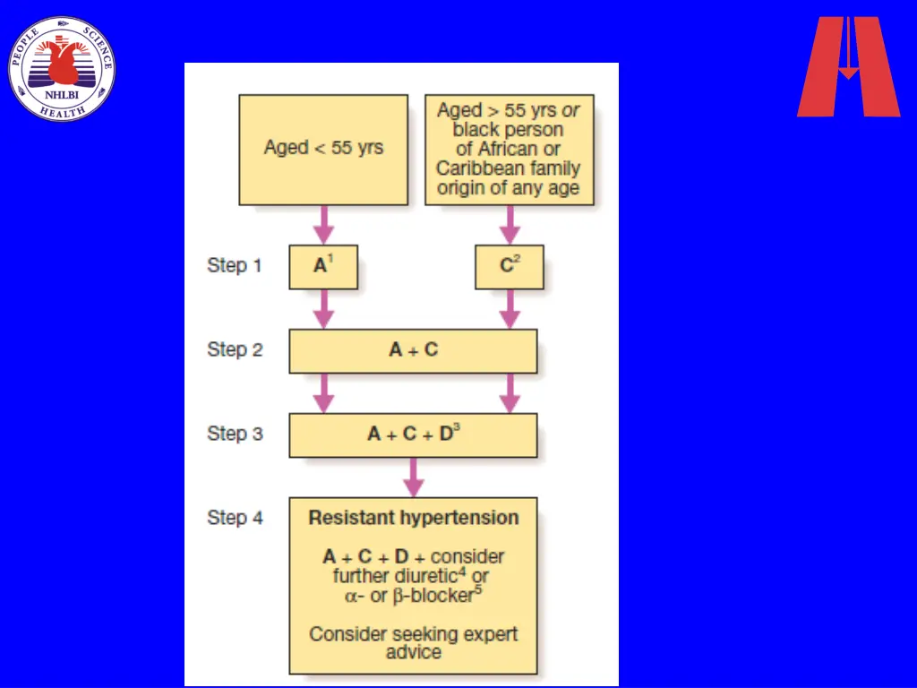 slide11