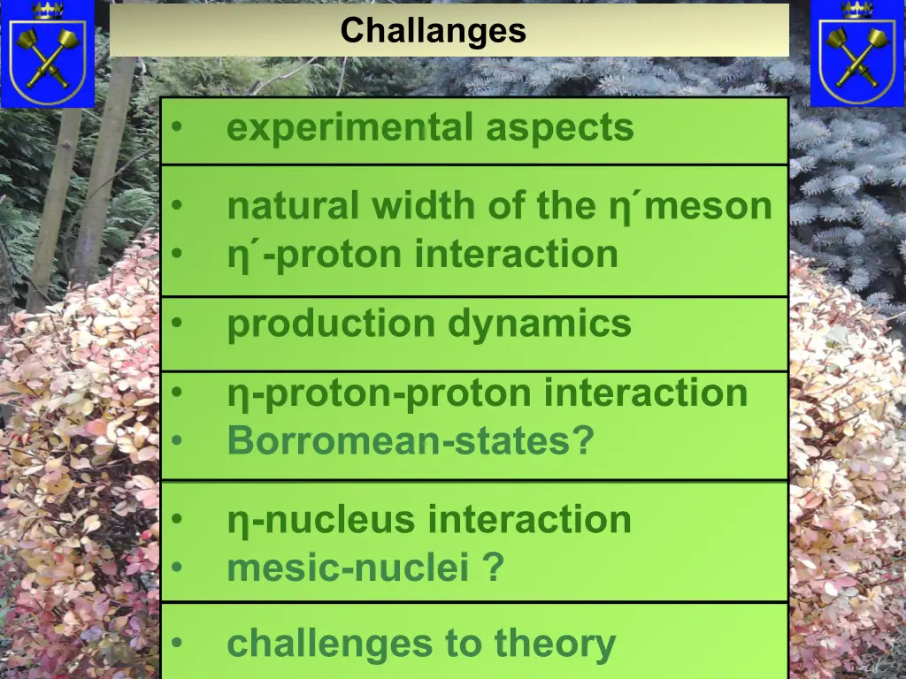 challanges