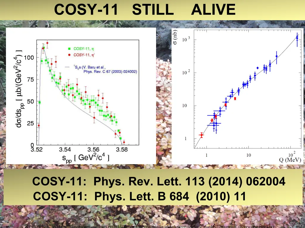 cosy 11 still alive