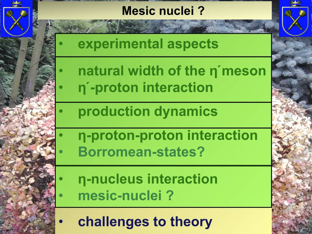 mesic nuclei