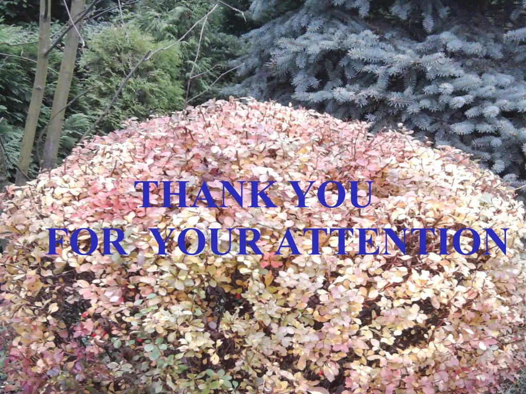 thank you for your attention 1