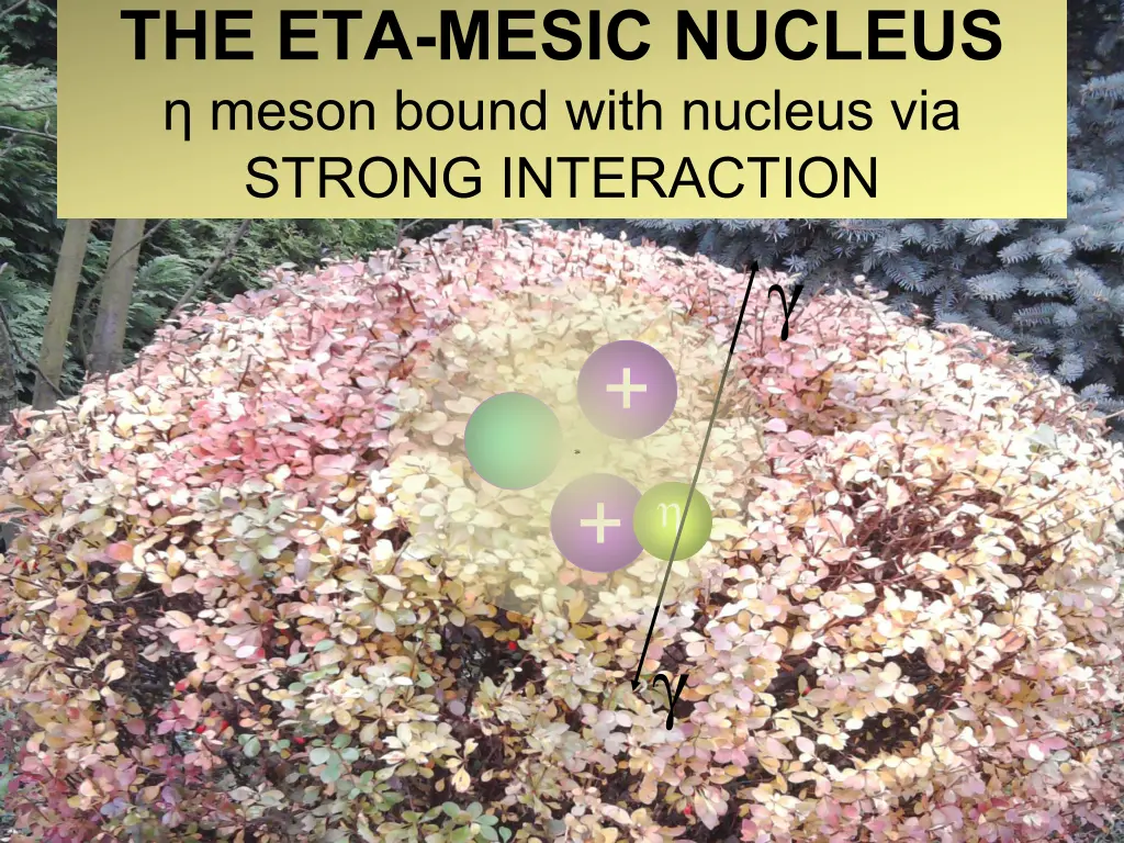 the eta mesic nucleus meson bound with nucleus 1