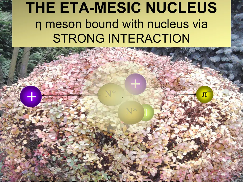 the eta mesic nucleus meson bound with nucleus