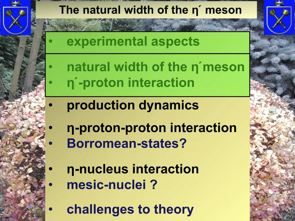 the natural width of the meson
