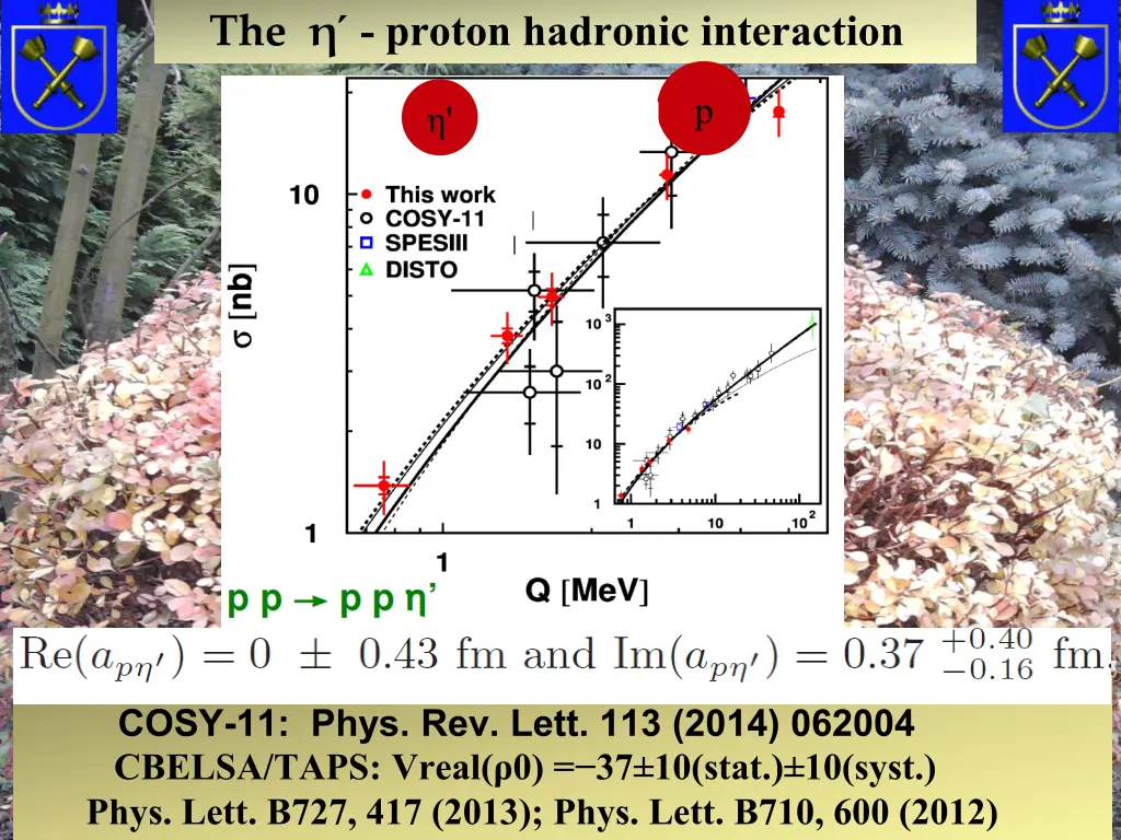 the proton hadronic interaction