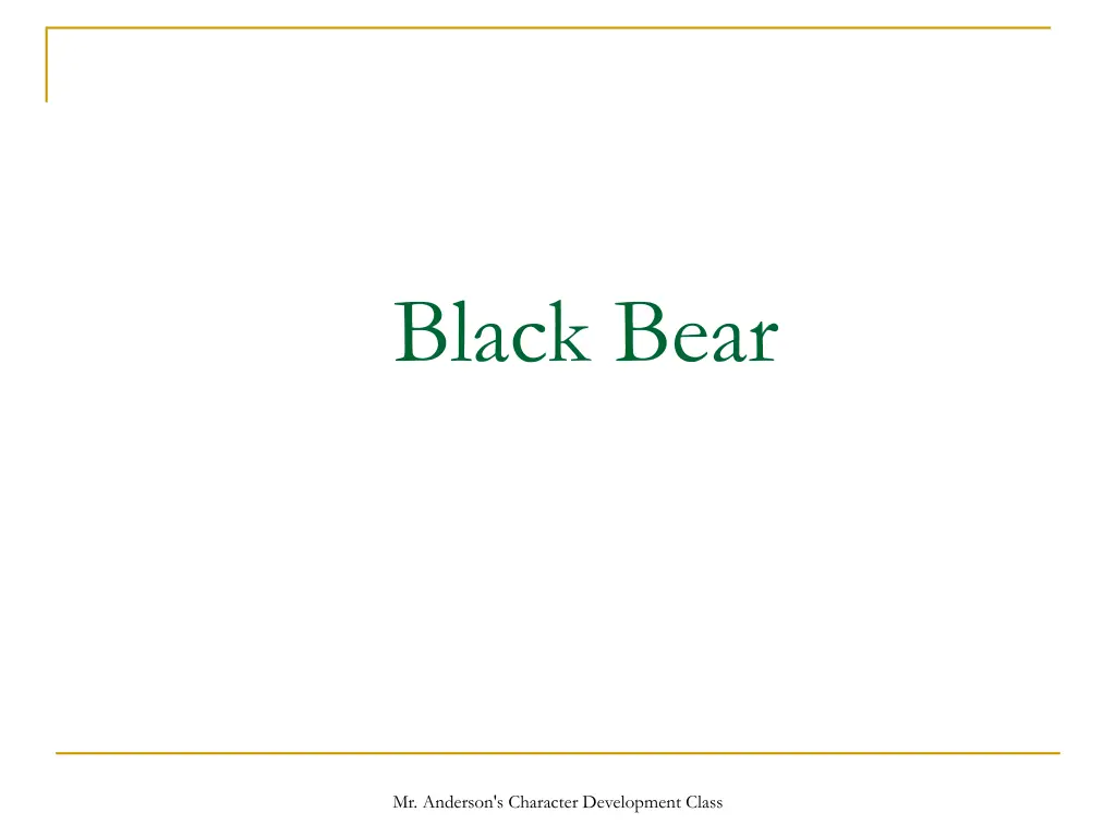 black bear