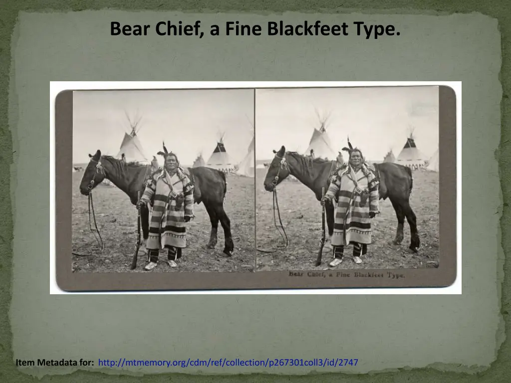 bear chief a fine blackfeet type