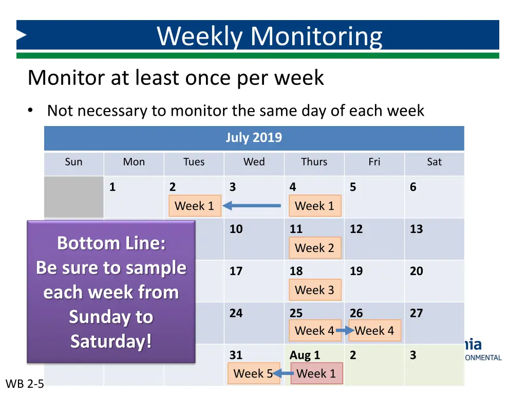 weekly monitoring 2