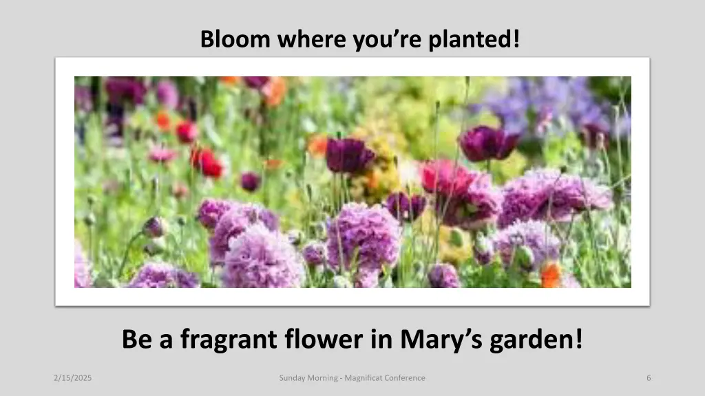 bloom where you re planted