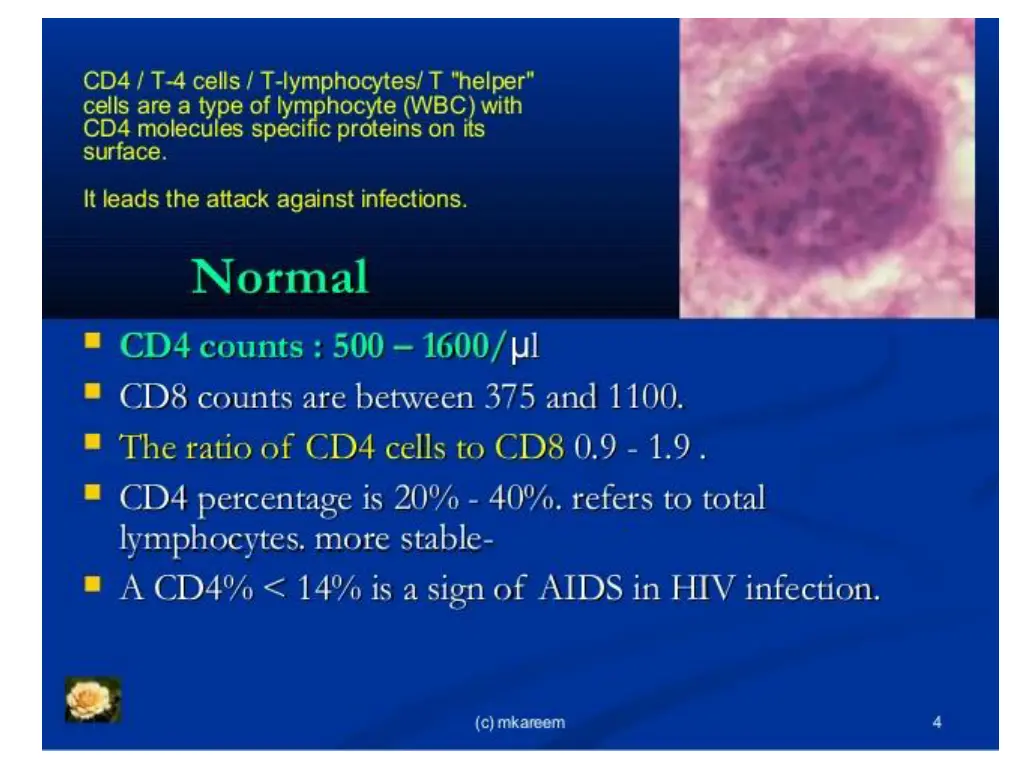 slide39