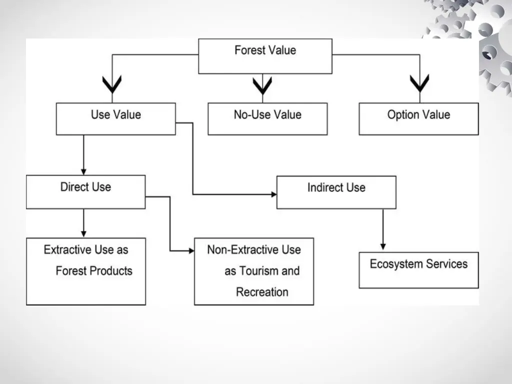 slide22