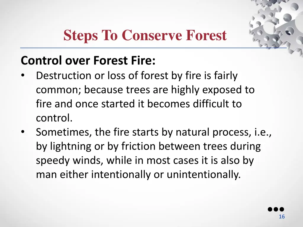 steps to conserve forest 1