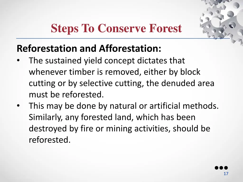 steps to conserve forest 2