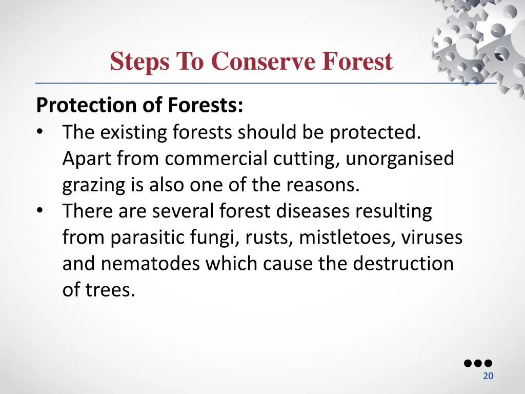 steps to conserve forest 5
