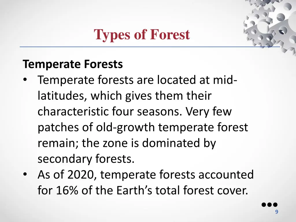 types of forest 1