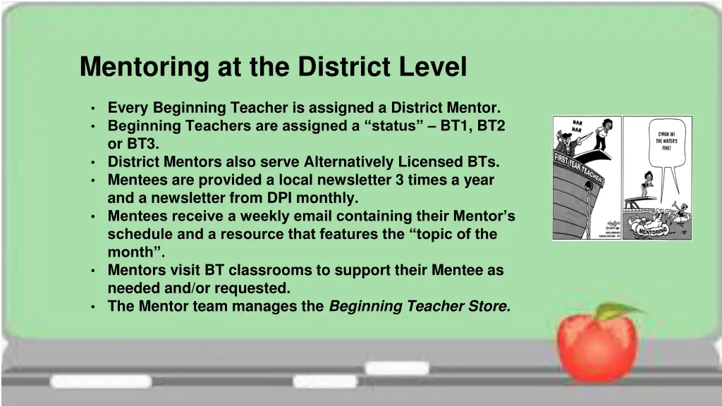 mentoring at the district level