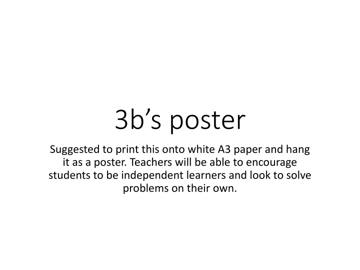 3b s poster