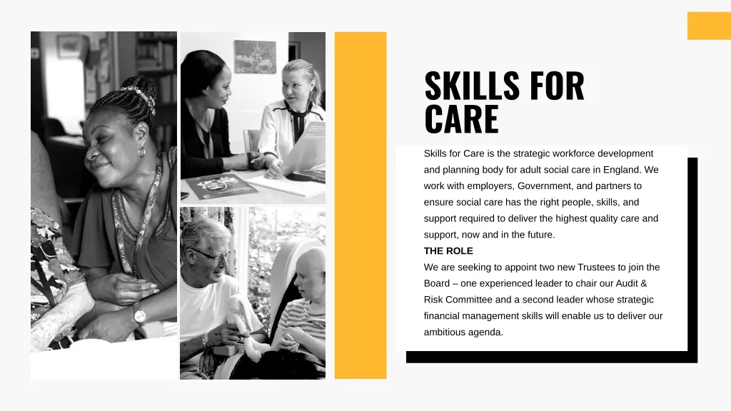 skills for care skills for care is the strategic