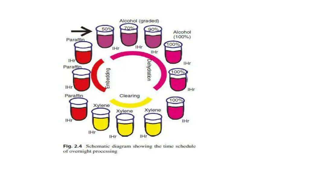 slide7