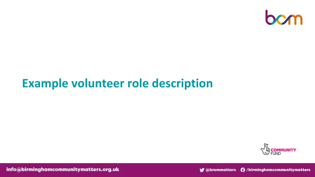 example volunteer role description