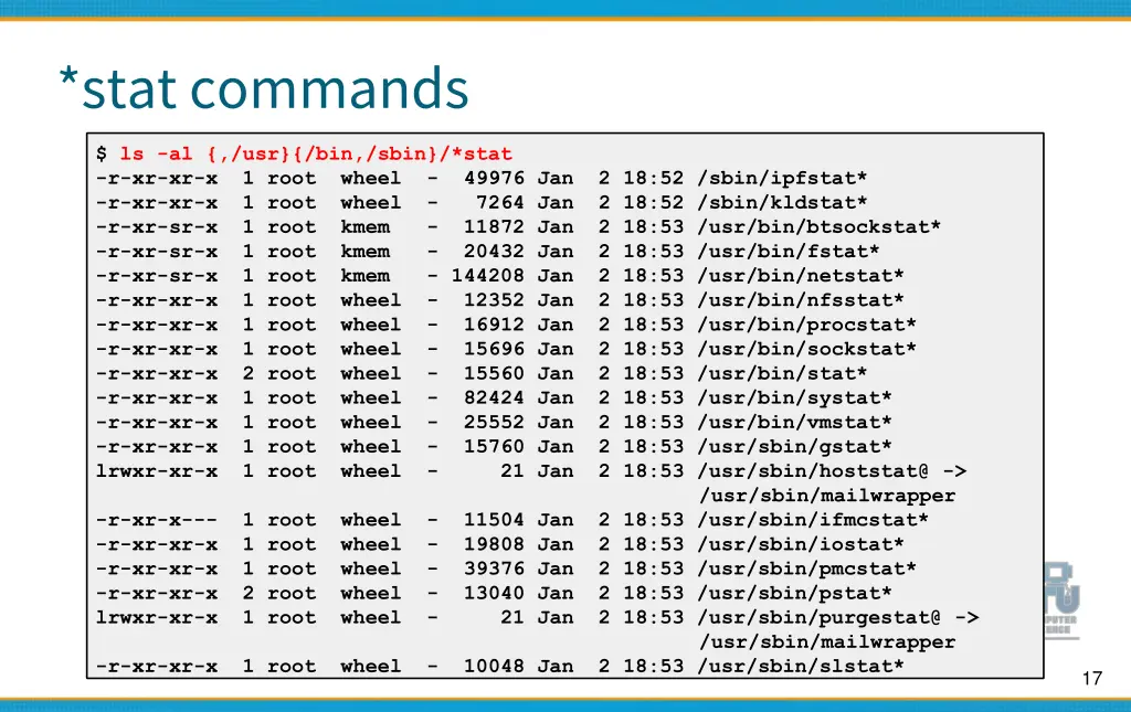 stat commands