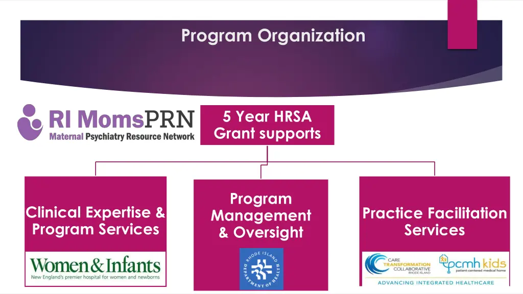 program organization