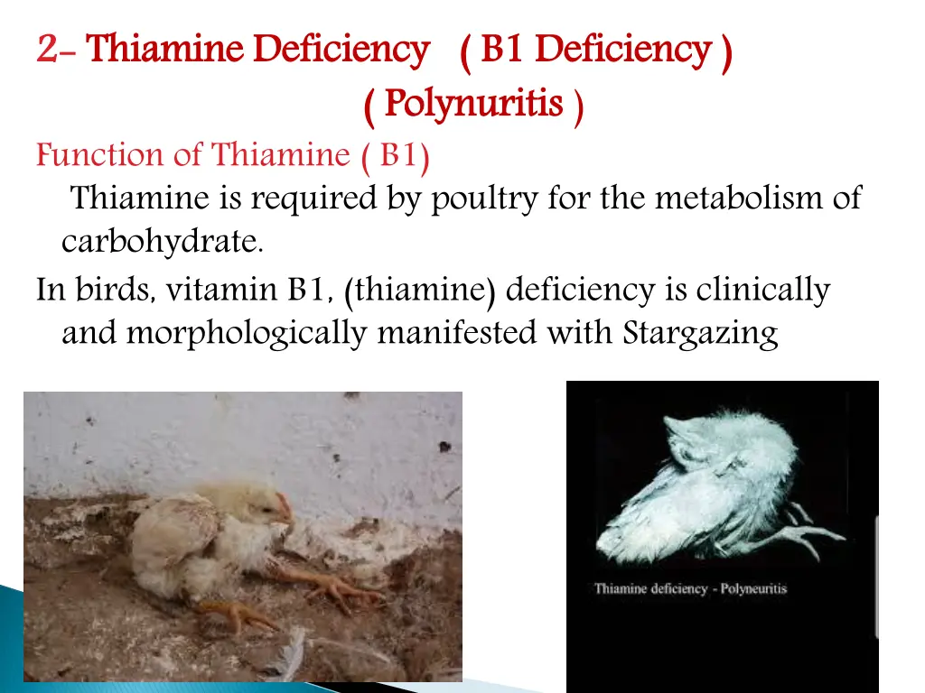 2 2 thiamine deficiency b