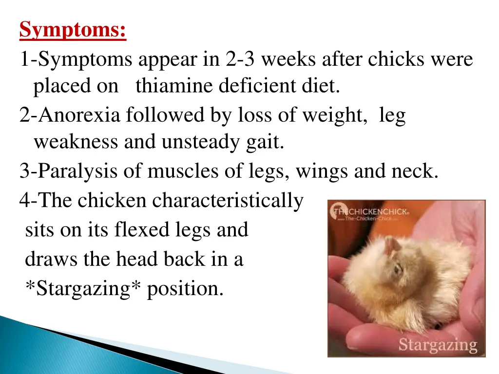 symptoms 1 symptoms appear in 2 3 weeks after