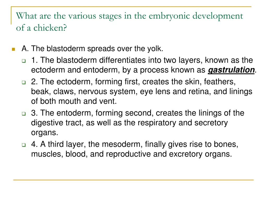 what are the various stages in the embryonic