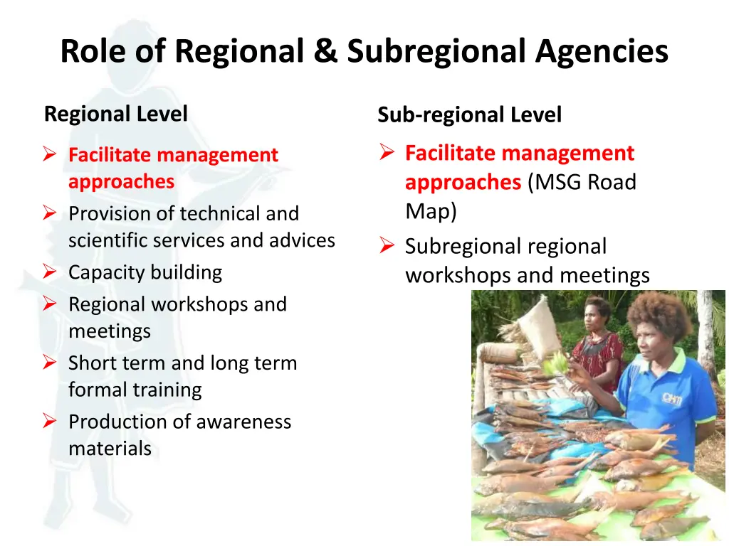 role of regional subregional agencies