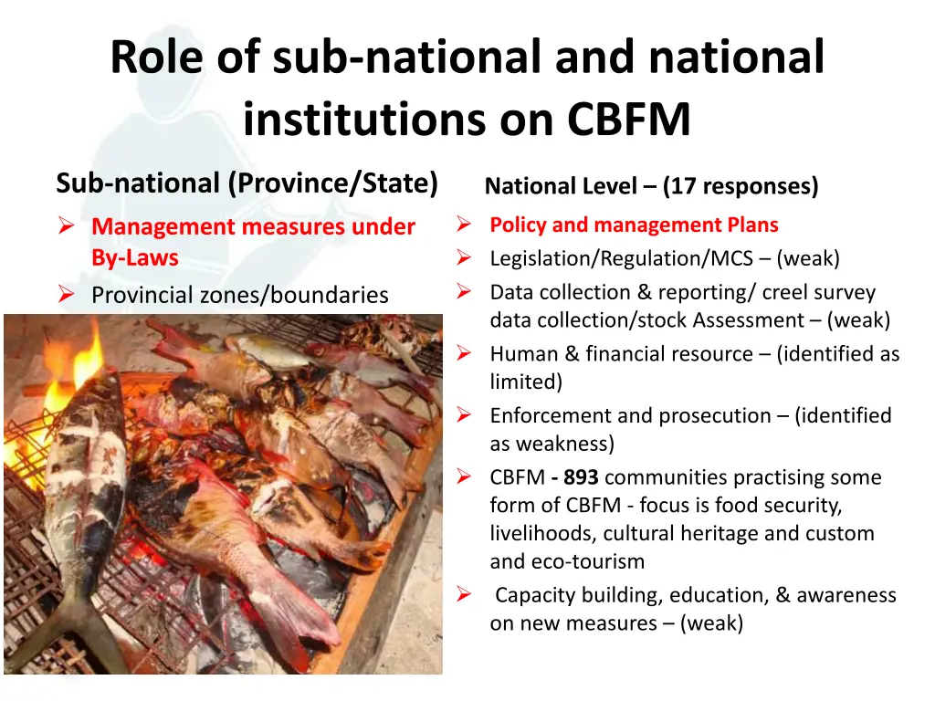role of sub national and national institutions