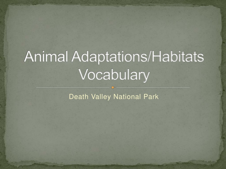 animal adaptations habitats vocabulary