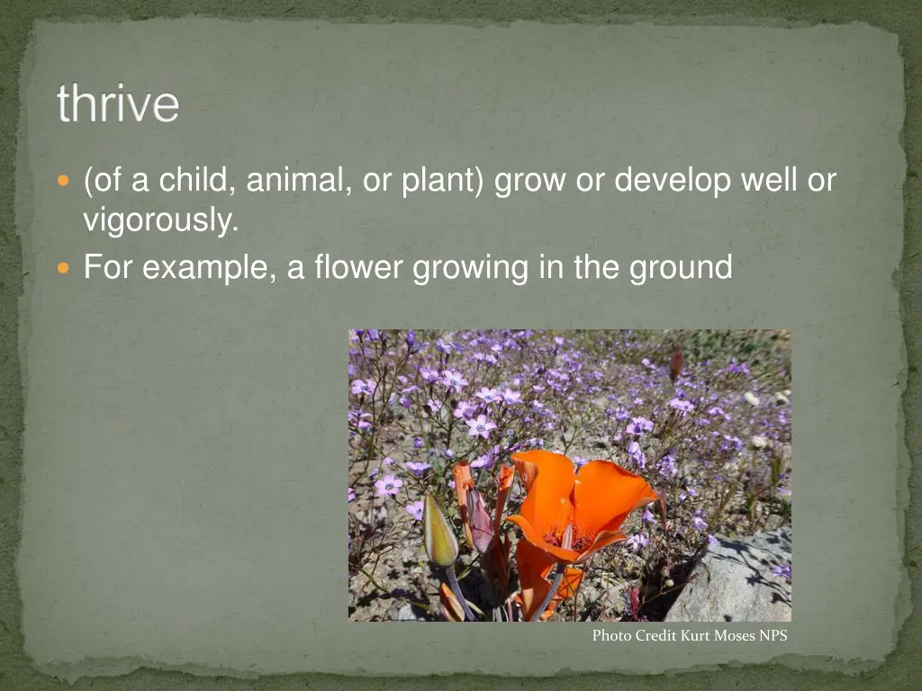 thrive