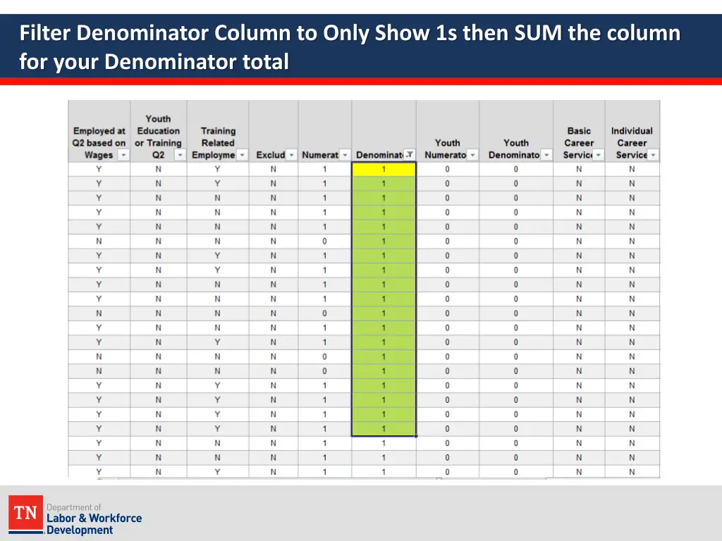 filter denominator column to only show 1s then