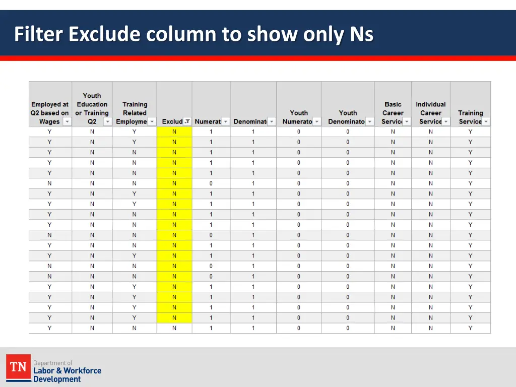 filter exclude column to show only ns