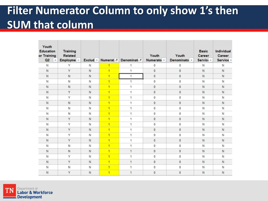 filter numerator column to only show 1 s then