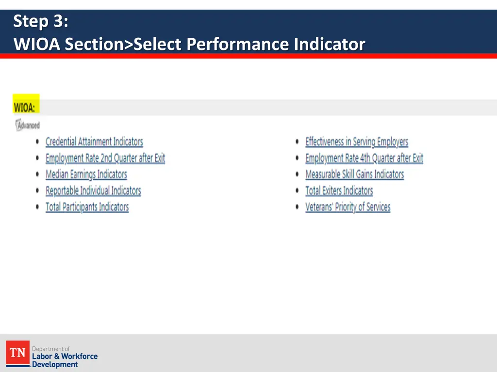 step 3 wioa section select performance indicator