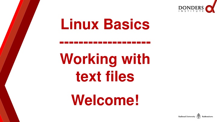 linux basics working with text files welcome