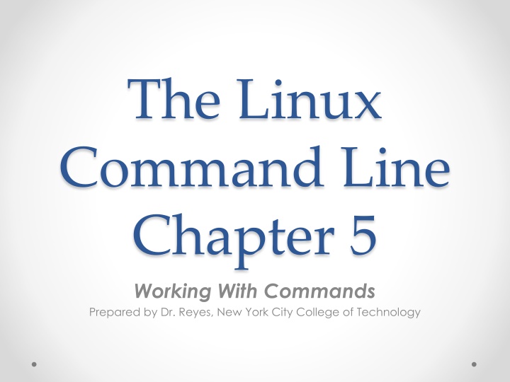 the linux command line chapter 5 working with
