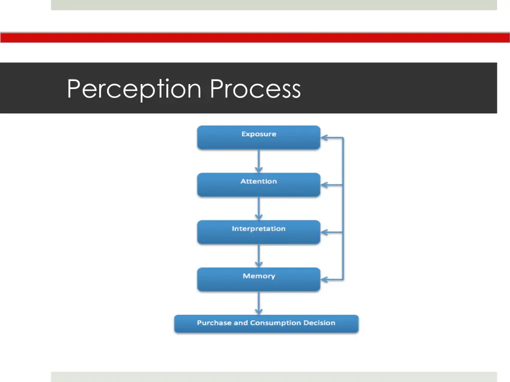 perception process