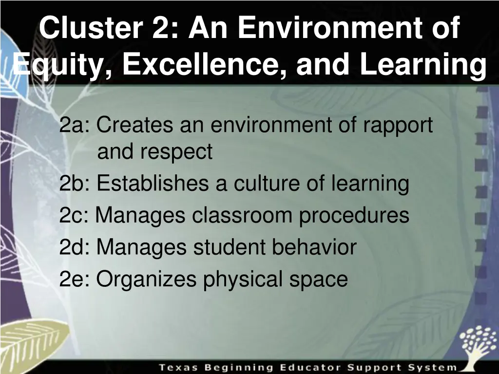 cluster 2 an environment of equity excellence