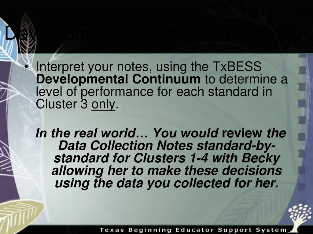 developmental continuum becky