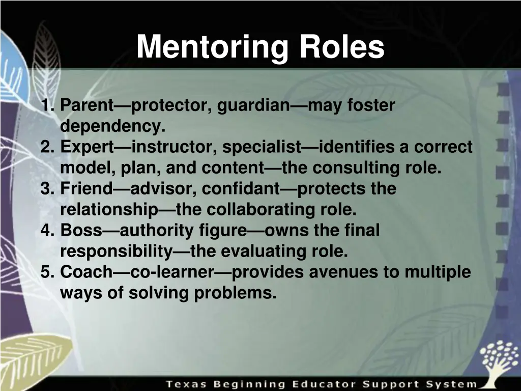 mentoring roles