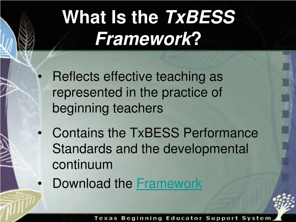 what is the txbess framework