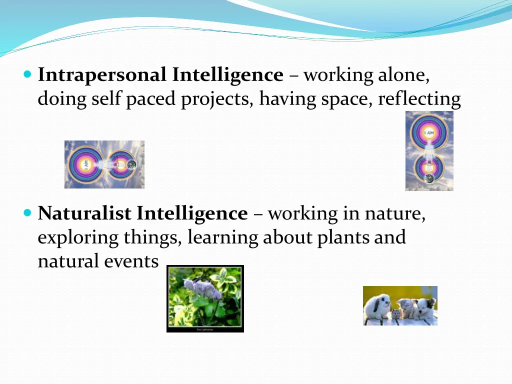 intrapersonal intelligence working alone doing