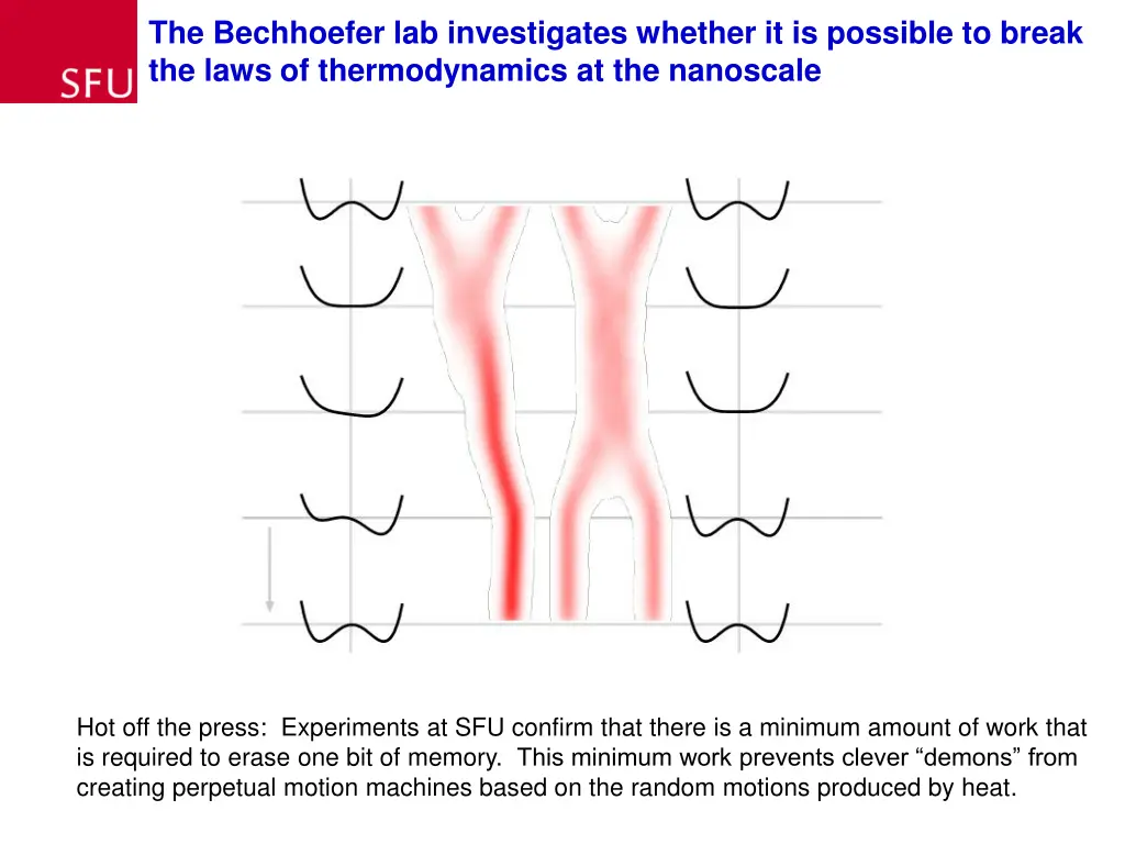 the bechhoefer lab investigates whether