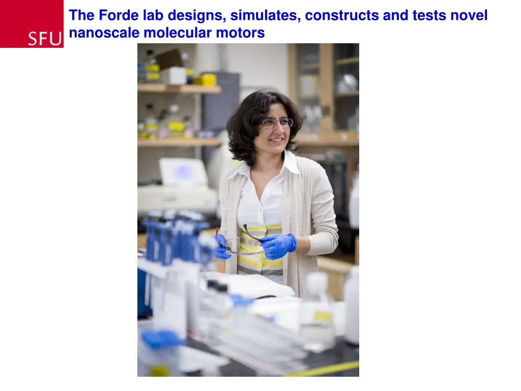 the forde lab designs simulates constructs