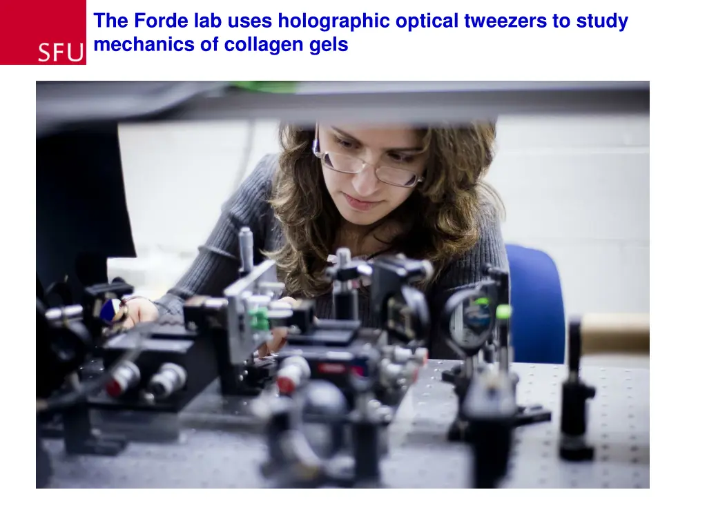 the forde lab uses holographic optical tweezers