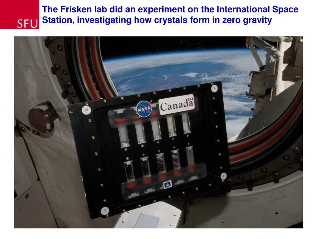the frisken lab did an experiment